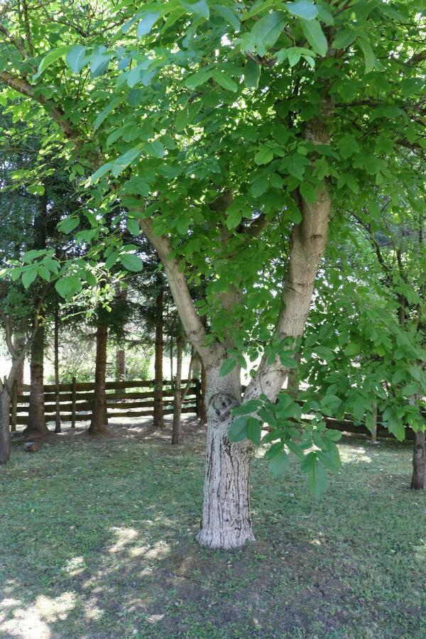 Holiday Home "Iris" Near Plitvice Lakes Rudanovac ภายนอก รูปภาพ