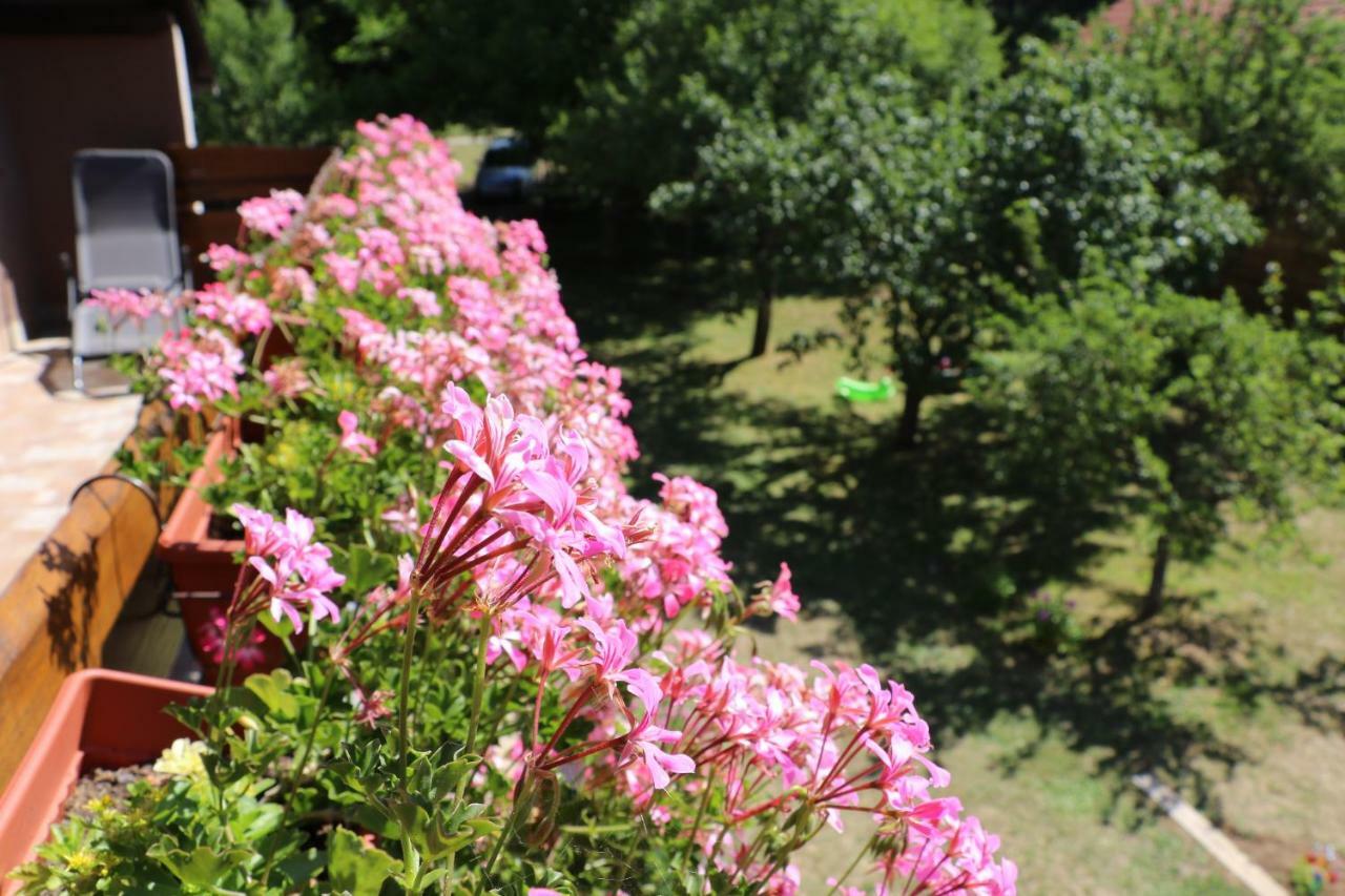 Holiday Home "Iris" Near Plitvice Lakes Rudanovac ภายนอก รูปภาพ